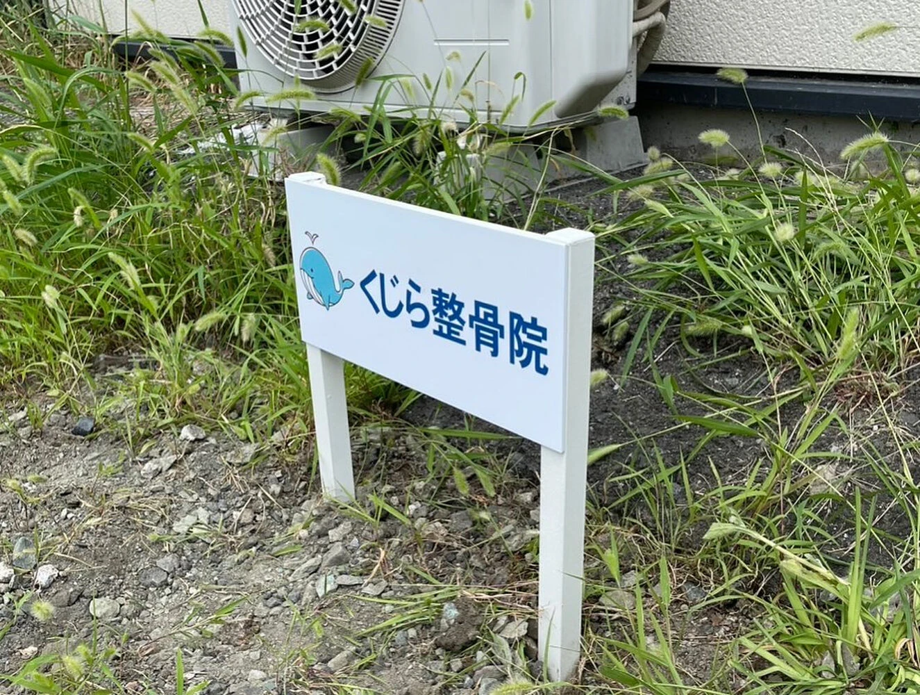 ブログ